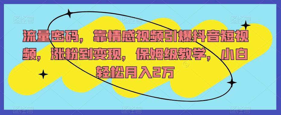 流量密码，靠情感视频引爆抖音短视频，涨粉到变现，保姆级教学，小白轻松月入2万【揭秘】-星禾网创星球