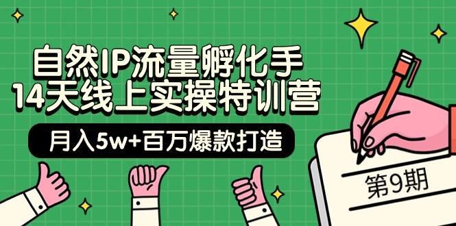 (9881期)自然IP流量孵化手 14天线上实操特训营【第9期】月入5w+百万爆款打造 (74节)-星禾网创星球