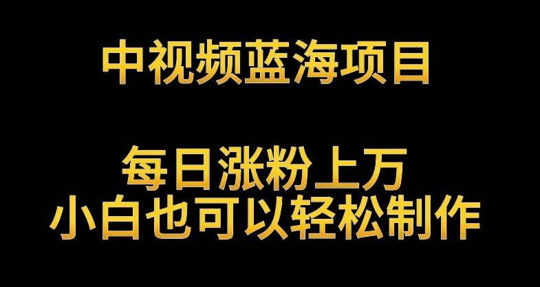 中视频蓝海项目，解读英雄人物生平，每日涨粉上万，小白也可以轻松制作，月入过万不是梦【揭秘】-星禾网创星球