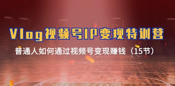 Vlog 视频号IP变现特训营，普通人如何通过视频号变现赚钱(15节-星禾网创星球