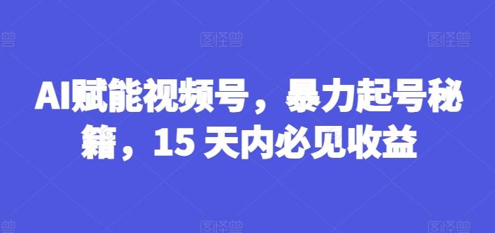 AI赋能视频号，暴力起号秘籍，15 天内必见收益【揭秘】-星禾网创星球
