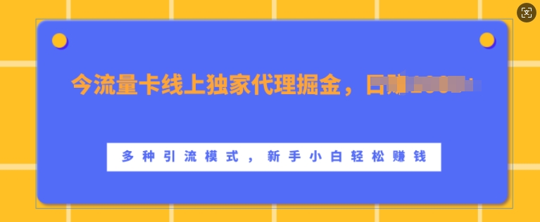 流量卡线上独家代理掘金，日入1k+ ，多种引流模式，新手小白轻松上手【揭秘】-星禾网创星球