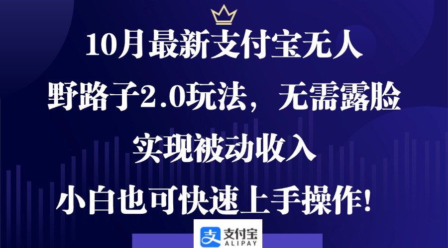10月最新支付宝无人野路子2.0玩法，无需露脸，实现被动收入，小白也可...-星禾网创星球