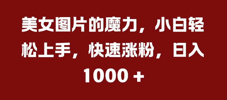 美女图片的魔力，小白轻松上手，快速涨粉，日入几张【揭秘】-星禾网创星球