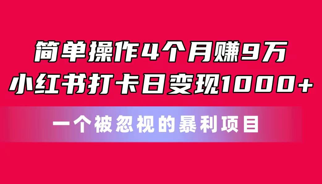 简单操作4个月赚9万！小红书打卡日变现1000+！一个被忽视的暴力项目-星禾网创星球
