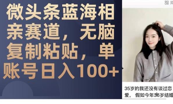 微头条蓝海相亲赛道，无脑复制粘贴，单账号日入100+-星禾网创星球