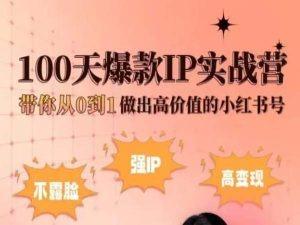 小红书100天爆款IP实战营，带你从0到1做出高价值的小红书号-星禾网创星球