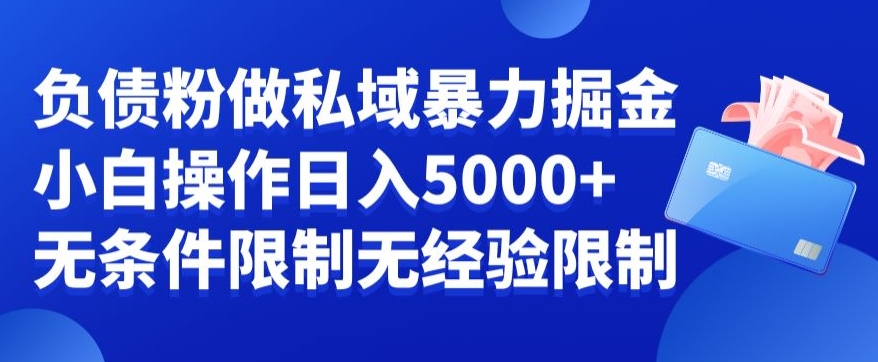 负债粉私域暴力掘金，小白操作入5000，无经验限制，无条件限制【揭秘】-星禾网创星球