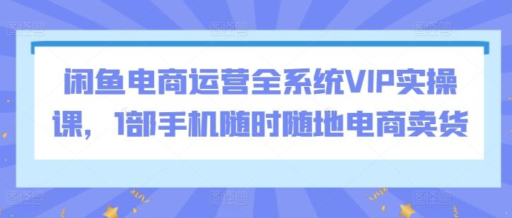 闲鱼电商运营全系统VIP实操课，1部手机随时随地电商卖货-星禾网创星球