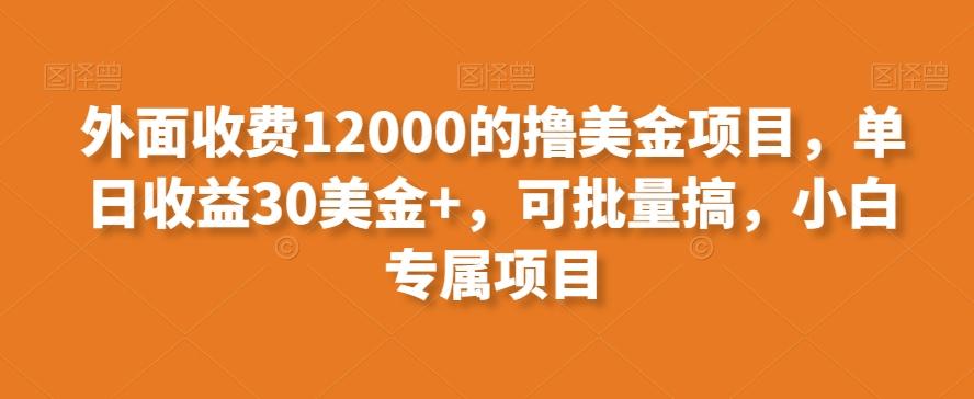 外面收费12000的撸美金项目，单日收益30美金+，可批量搞，小白专属项目-星禾网创星球