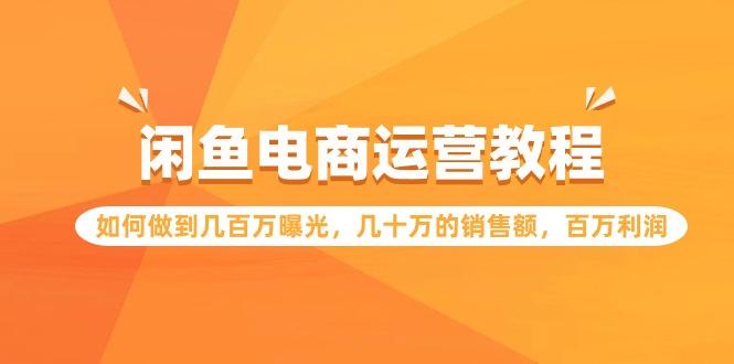 (9560期)闲鱼电商运营教程：如何做到几百万曝光，几十万的销售额，百万利润-星禾网创星球