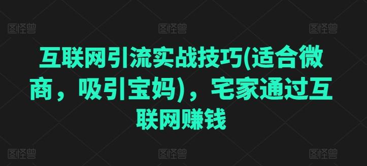互联网引流实战技巧(适合微商，吸引宝妈)，宅家通过互联网赚钱-星禾网创星球