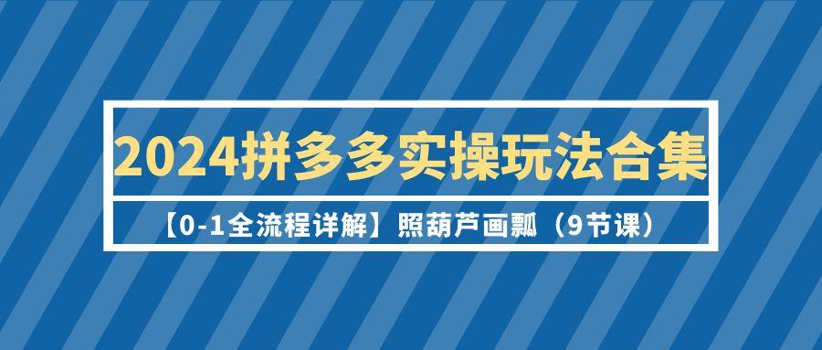 (9559期)2024拼多多实操玩法合集【0-1全流程详解】照葫芦画瓢(9节课)-星禾网创星球
