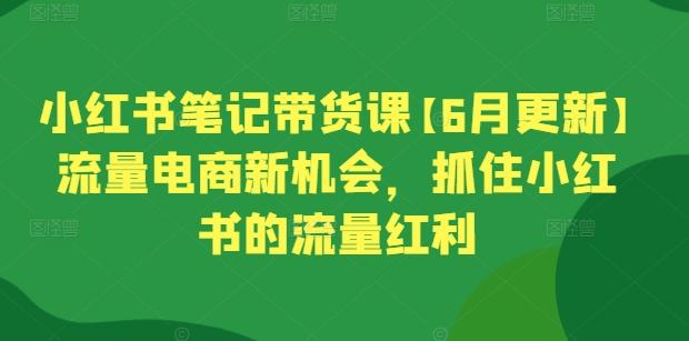 小红书笔记带货课【6月更新】流量电商新机会，抓住小红书的流量红利-星禾网创星球