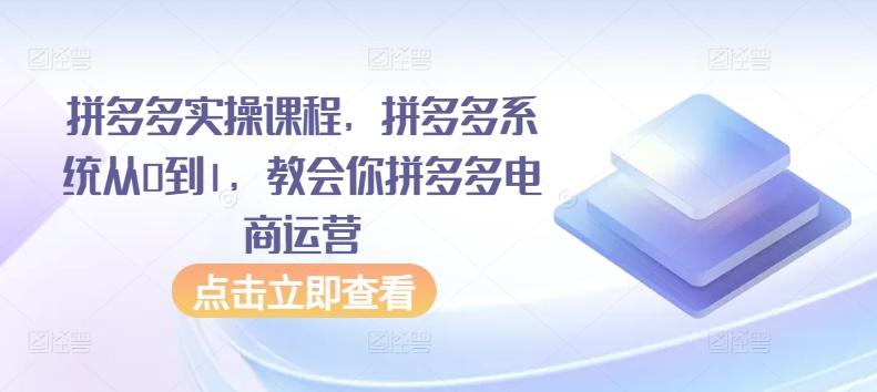 拼多多实操课程，拼多多系统从0到1，教会你拼多多电商运营-星禾网创星球