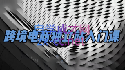 团长·跨境电商独立站入门课(2小时精华)-星禾网创星球