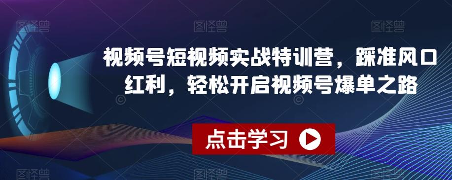 视频号短视频实战特训营，踩准风口红利，轻松开启视频号爆单之路-星禾网创星球