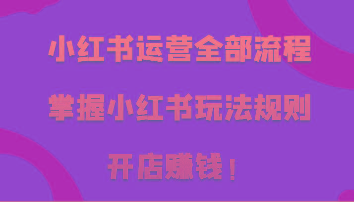 小红书运营全部流程，掌握小红书玩法规则，开店赚钱！-星禾网创星球