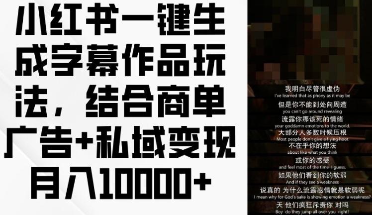 小红书一键生成字幕作品玩法，结合商单广告+私域变现月入1w+【揭秘】-星禾网创星球