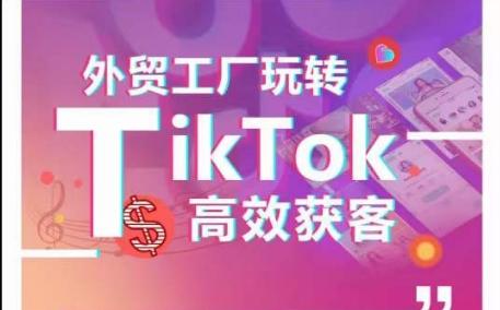 外贸工厂玩转TikTok高效获客，多种引流方式与账号定位技巧，拆解爆款短视频打造成功案例-星禾网创星球