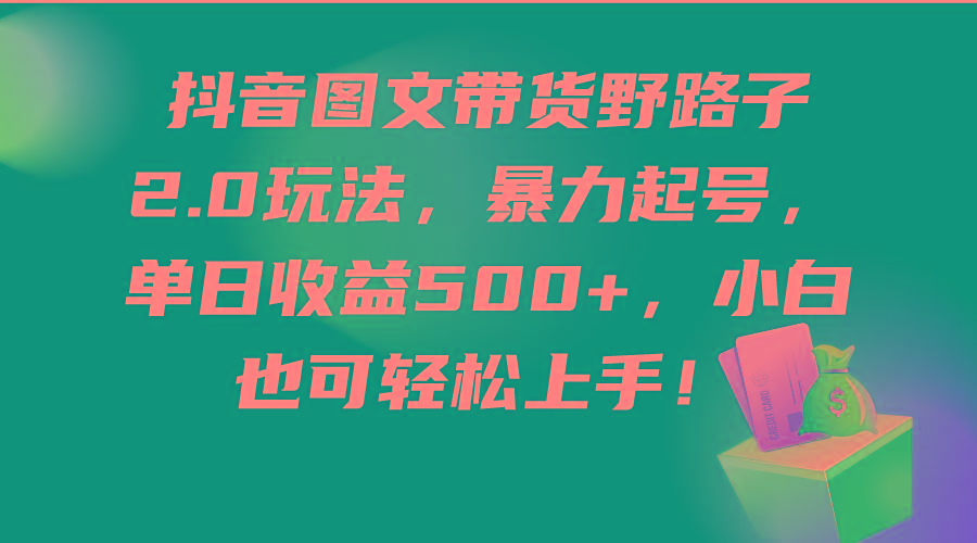 (9790期)抖音图文带货野路子2.0玩法，暴力起号，单日收益500+，小白也可轻松上手！-星禾网创星球