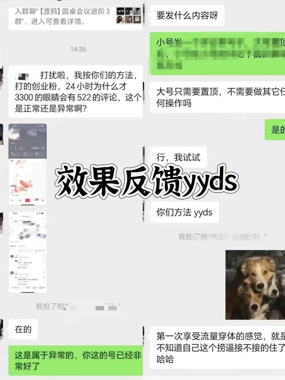 图片[3]-抖音小红书视频号全平台引流打法，全自动引流日引2000+精准客户-星禾网创星球