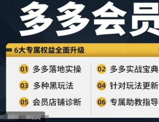 拼多多会员，拼多多实战宝典+实战落地实操，从新手到高阶内容全面覆盖-星禾网创星球