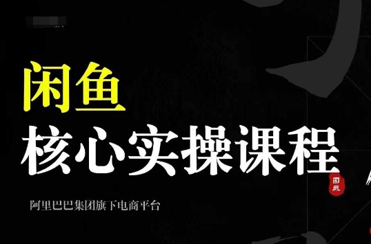 2024闲鱼核心实操课程，从养号、选品、发布、销售，教你做一个出单的闲鱼号-星禾网创星球