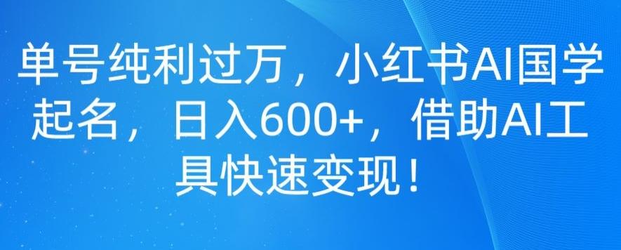 单号纯利过万，小红书AI国学起名，日入600+，借助AI工具快速变现-星禾网创星球