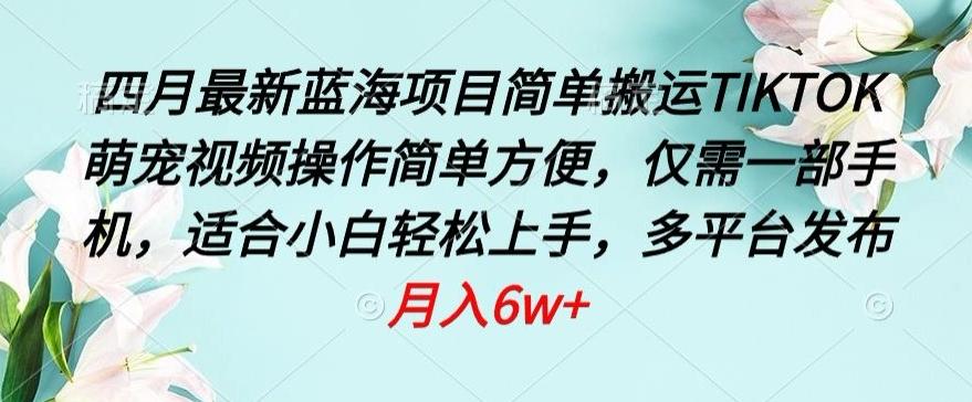 四月最新蓝海项目，简单搬运TIKTOK萌宠视频，操作简单方便，仅需一部手机【揭秘】-星禾网创星球