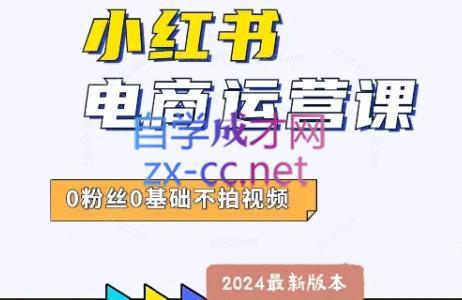 达哥·小红书电商运营(2024版)-星禾网创星球