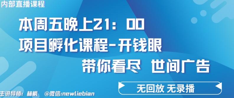 4.26日内部回放课程《项目孵化-开钱眼》赚钱的底层逻辑【揭秘】-星禾网创星球