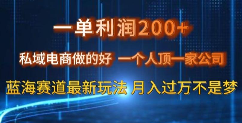 一单利润200私域电商做的好，一个人顶一家公司蓝海赛道最新玩法【揭秘】-星禾网创星球