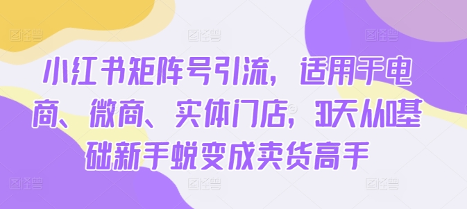 小红书矩阵号引流，适用于电商、微商、实体门店，30天从0基础新手蜕变成卖货高手-星禾网创星球