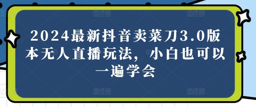 2024最新抖音卖菜刀3.0版本无人直播玩法，小白也可以一遍学会【揭秘】-星禾网创星球