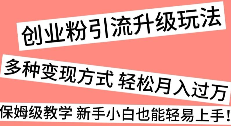 创业粉引流升级玩法，多种变现方式轻松月入过万，保姆级教学新手小白也能轻易上手！-星禾网创星球