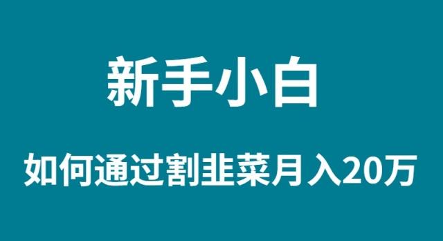 (9308期)新手小白如何通过割韭菜月入 20W-星禾网创星球