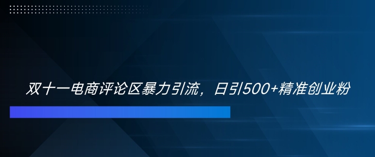 双十一电商评论区暴力引流，日引500+精准创业粉【揭秘】-星禾网创星球
