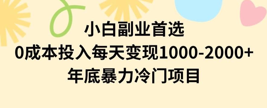 小白副业首选，0成本投入，每天变现1000-2000年底暴力冷门项目【揭秘】-星禾网创星球