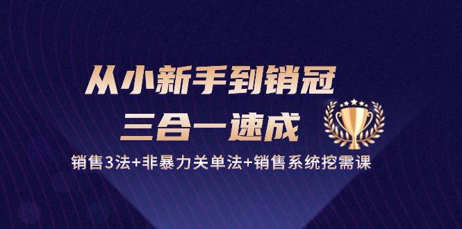 从小新手到销冠 三合一速成：销售3法+非暴力关单法+销售系统挖需课 (27节-星禾网创星球