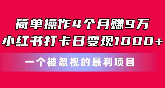 简单操作4个月赚9w，小红书打卡日变现1k，一个被忽视的暴力项目【揭秘】-星禾网创星球