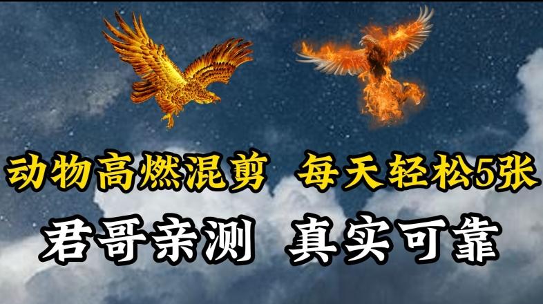 动物超燃混剪，每天轻松5张，剪辑简单大家爱看【揭秘】-星禾网创星球