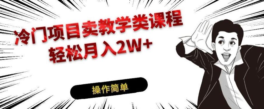冷门项目卖教学类课程，轻松月入2W+-星禾网创星球