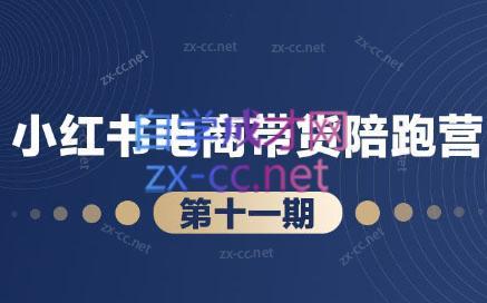 盗坤·小红书电商带货陪跑营(第十一期)-星禾网创星球