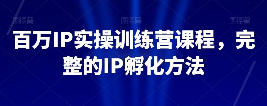百万IP实操训练营课程，完整的IP孵化方法-星禾网创星球