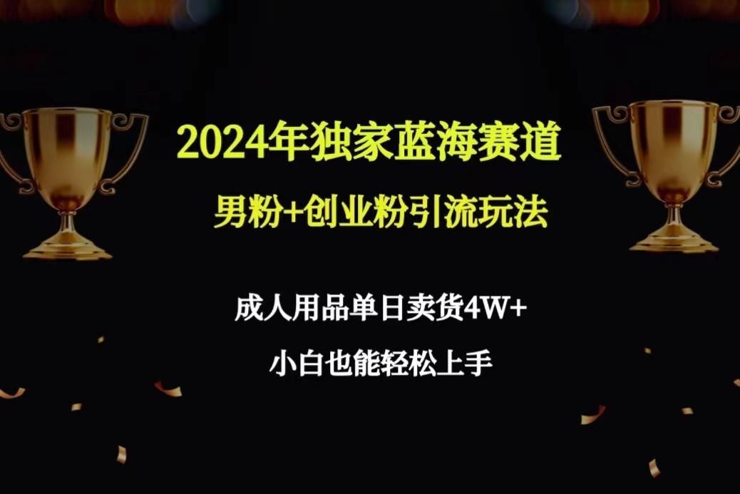 2024年独家蓝海赛道男粉+创业粉引流玩法，成人用品单日卖货4W+保姆教程-星禾网创星球