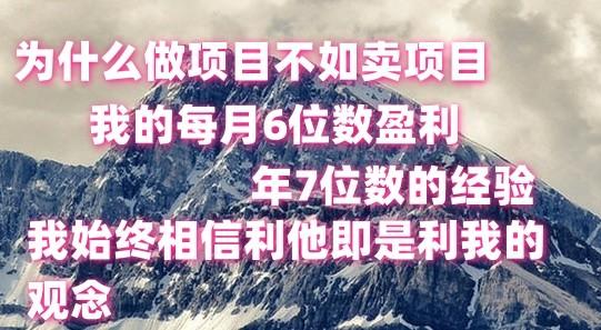 做项目不如卖项目，每月6位数盈利，年7位数经验-星禾网创星球