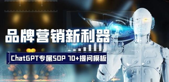 品牌营销新利器：ChatGPT专属SOP，70+提问模板【文档】-星禾网创星球