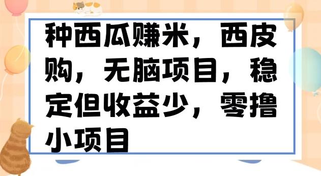 种西瓜赚米，西皮购稳定长久零撸小项目-星禾网创星球