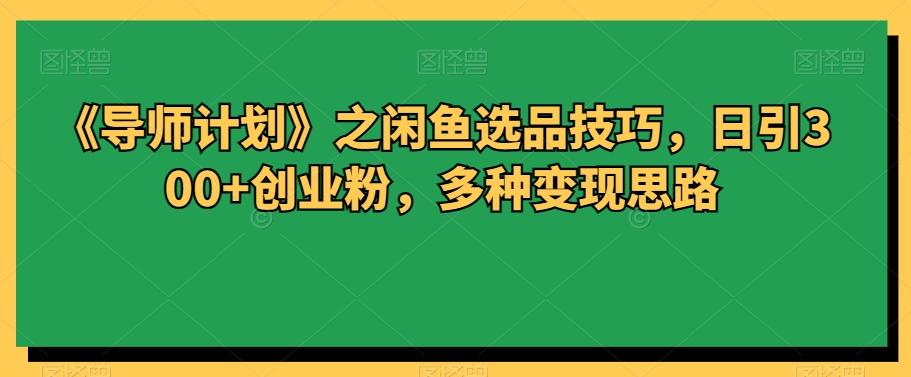 《导师计划》之闲鱼选品技巧，日引300+创业粉，多种变现思路-星禾网创星球